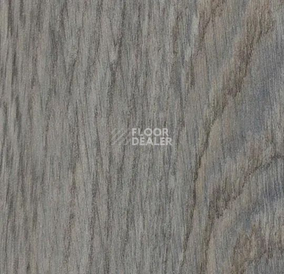 Кварцвиниловые полы Forbo Effekta Intense 40245 P Ashon Rustic Oak INT фото 1 | FLOORDEALER